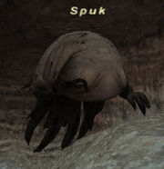 Spuk