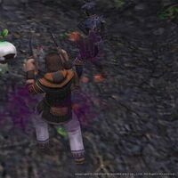 Guarding With Tetsu A Puppetmaster S Guide Ffxiclopedia Fandom I think your macro isn't working because there's a druid ability also called claw. ffxiclopedia fandom