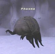 Phasma