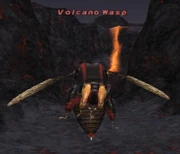 Volcano Wasp