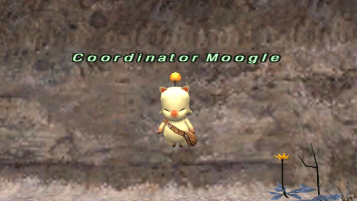 Mog Kupon W-Eth - FFXI Wiki