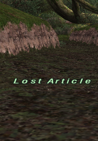 Lost Article