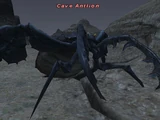 Cave Antlion