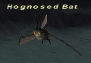 Hognosed Bat