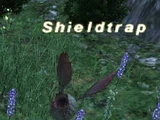 Shieldtrap