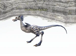Velociraptor