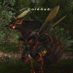 Ffxi Wildskeeper Reive Events 2022
