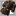 26869.png