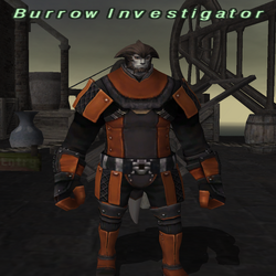 Burrow Investigator