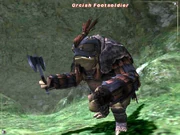 Orcish Footsoldier
