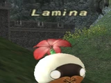 Lamina