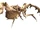 Antlion (MON)