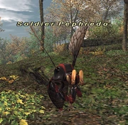 Soldier Pephredo