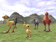 Chocobo Raising Changes and Additions (12-07-2006)-1