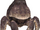 Vermilion Crab (MON)