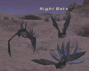 Night Bats