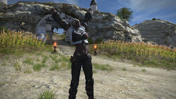 ルガディン Final Fantasy Xiv Wiki Fandom ルガディン Final Fantasy Xiv Wiki Fandom