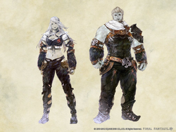 ルガディン Final Fantasy Xiv Wiki Fandom ルガディン Final Fantasy Xiv Wiki Fandom