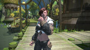 Roegadyn 013