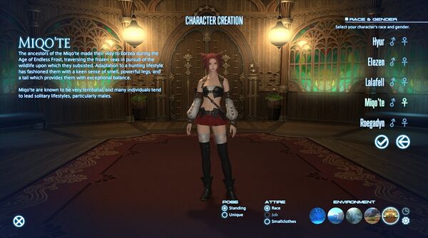 人物创建 Ffxiv 维基 Fandom 人物创建 Ffxiv 维基 Fandom