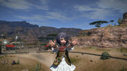 Lalafell 016