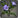 Flax.png