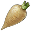 AlpineParsnip