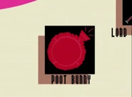 Poot Bunny