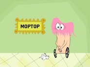 Moptopgallery.jpeg (24 KB)