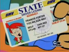 Frankie's driver's license