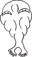 Takofuusen