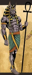 Anubis