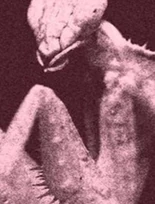 link={{{articlename}}}