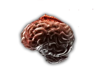 Etapa4NeuraxWorm.png (91 kB) Etapa 4