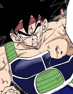 BardockV.png (207 kB)