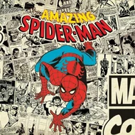 Spidey14.jpg (95 kB)