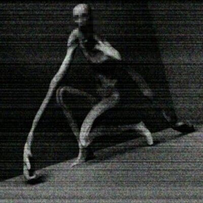 SCP-096, Ficción Sin Límites Wiki