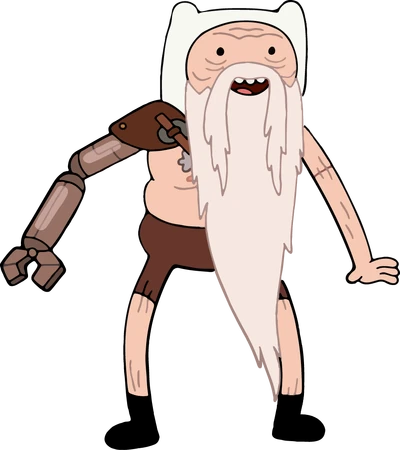 Finn4