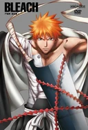 Bleach Vol. 11 Cover.png (306 kB)