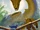 MetalSeadramon (Digimon Adventure)