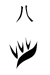8th Division Insignia