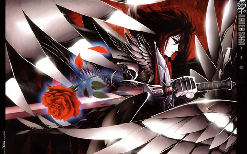 Divine Curse