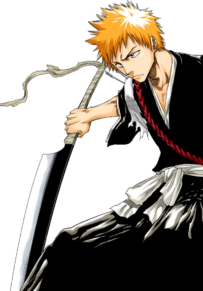 Bleach - Ichigo Hollow completo, Iván Esapasandín