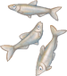 WakasagihimeSigil