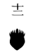 12th Division Insignia