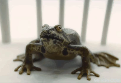 El Solitract