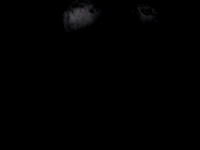 Buddy acosando al jugador en el minijuego secreto