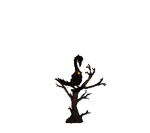 Curación de El Ave Ardiente