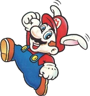 Mario Conejo