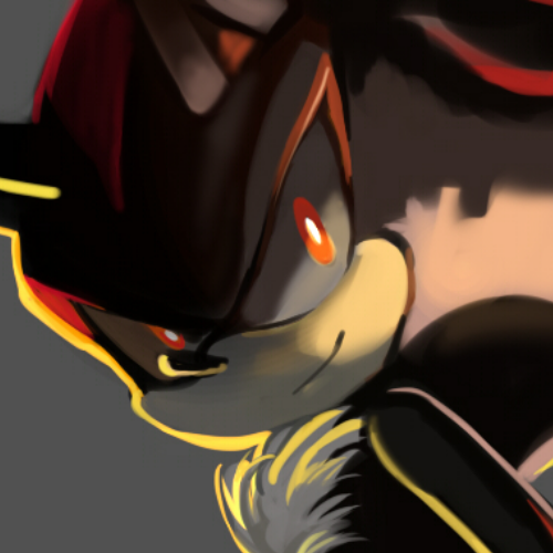 Perfil de Shadow the hedgehog.